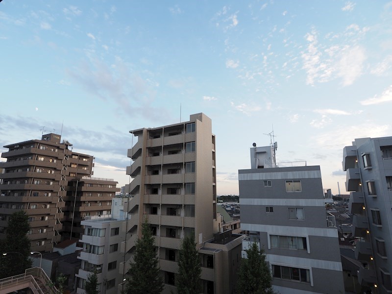 その他1