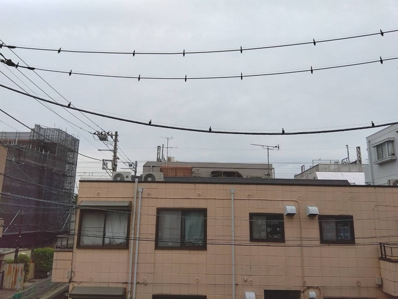 その他4