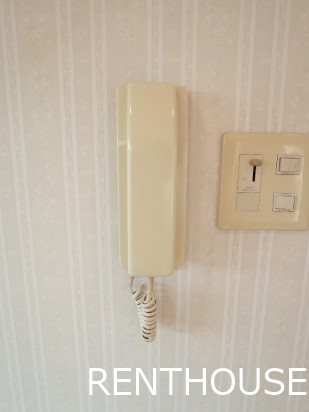 パティオアゼリー その他6