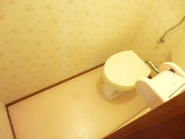 その他5