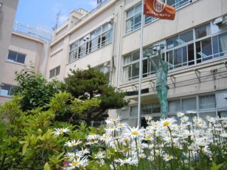 永福グリーンテラス 周辺画像5