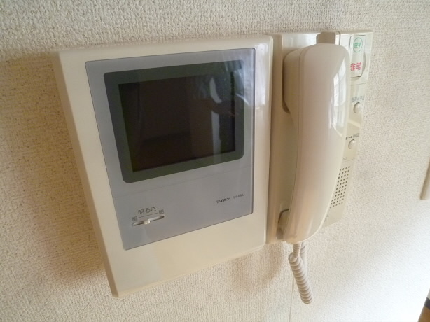 ティアラ   その他4