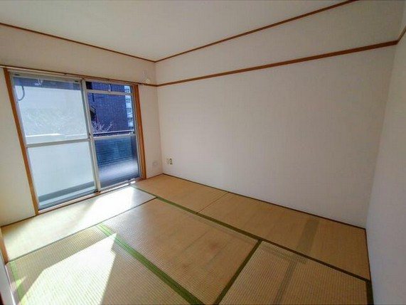 その他11