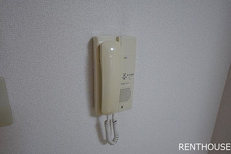 エテルノセラ   その他7
