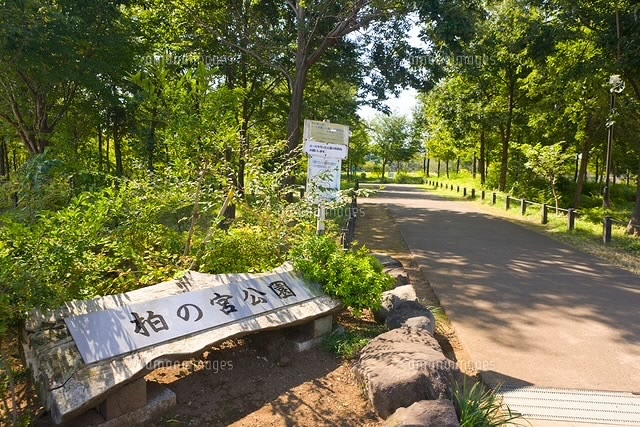 周辺画像6
