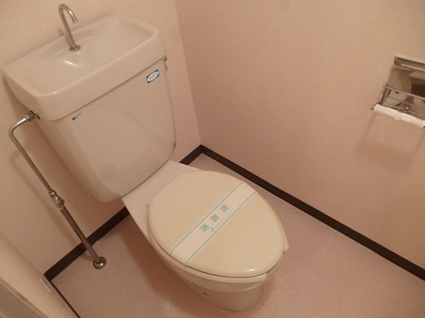 ロワール大鷹  その他5
