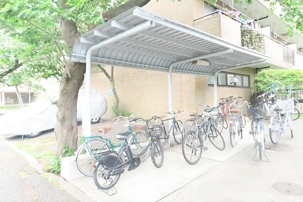 その他11