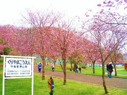 新井ハイツ 周辺画像6