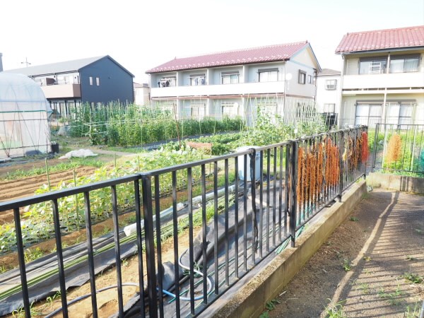 その他1
