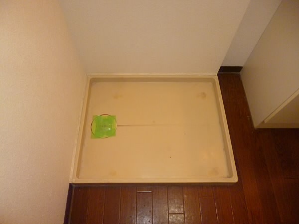その他4