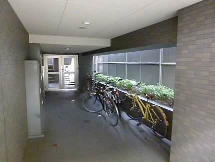 その他7