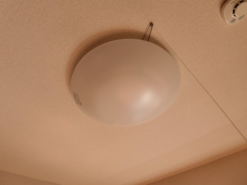 ガーデンホーク  その他2