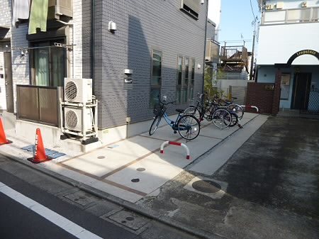 プルメリア その他6