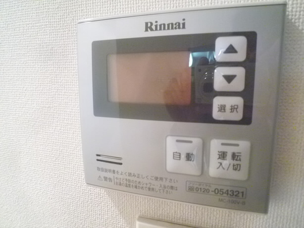 アンシャンテ  その他4