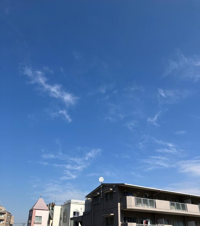 その他7