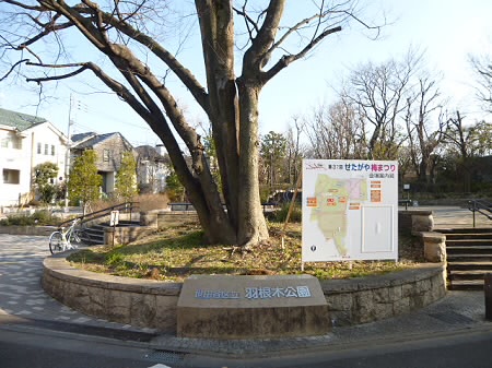 グランドール豪徳寺 周辺画像6