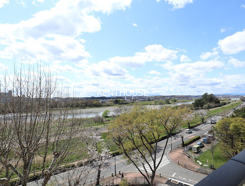 シティテラス多摩川  その他1