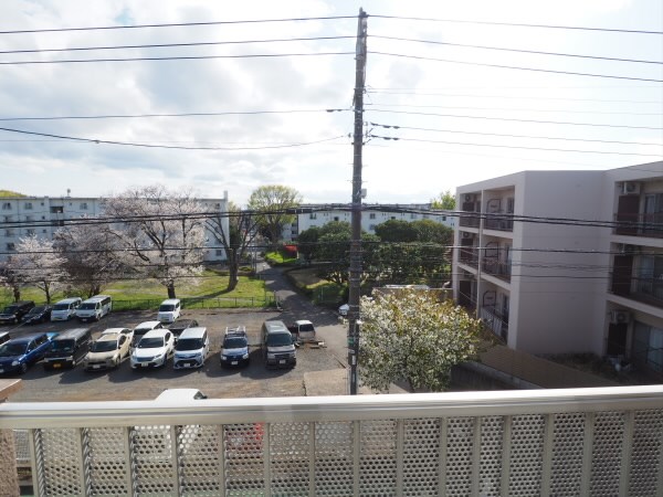 その他1