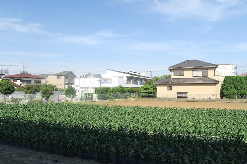 マーシャルハイツ  その他5