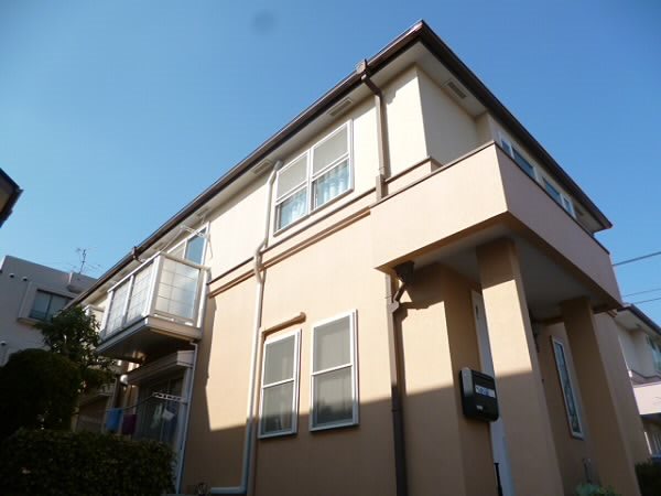 その他11