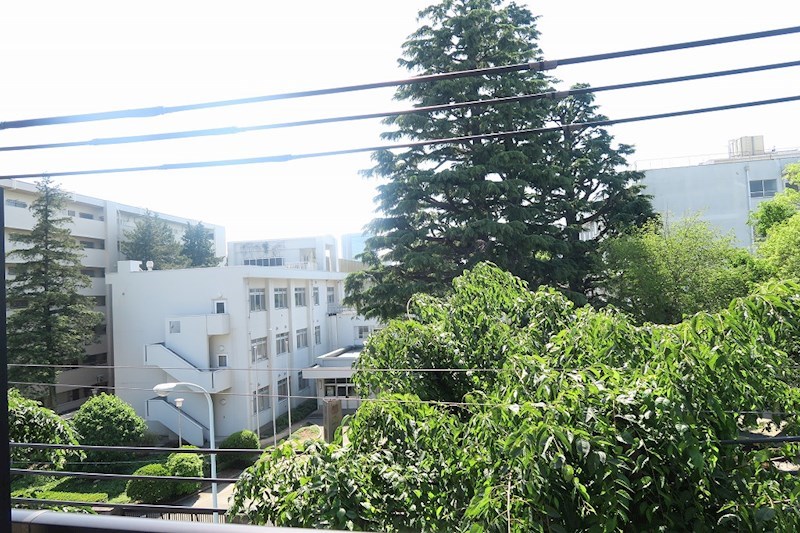 その他17