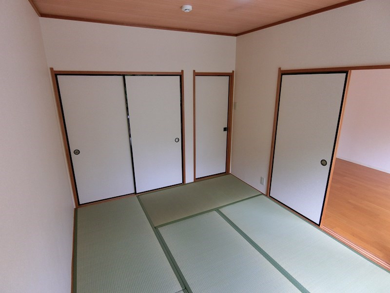 その他7