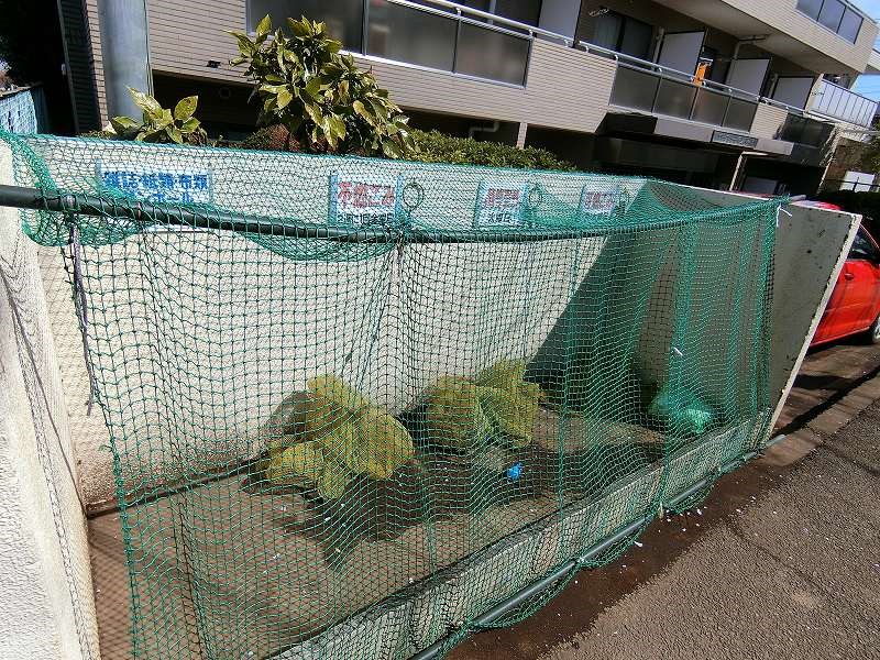 その他5