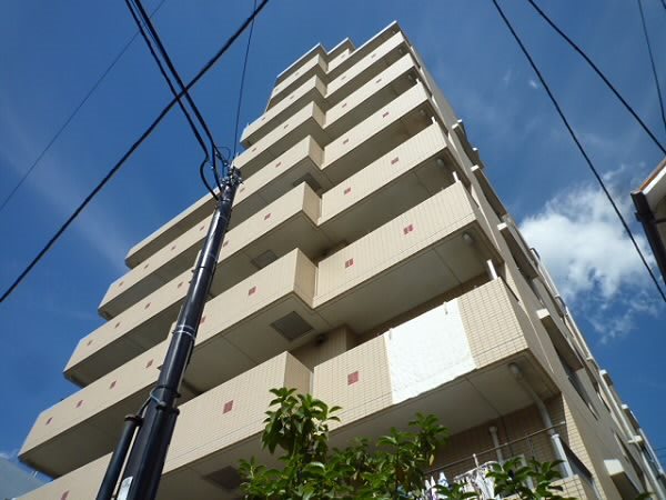 その他11