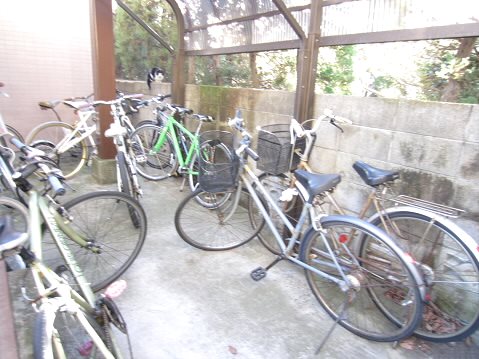 その他6