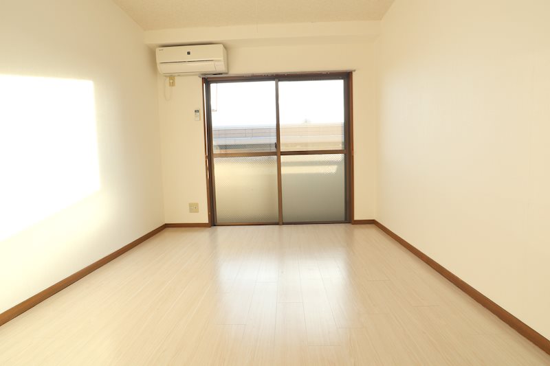 ハウゼイイダ  その他4