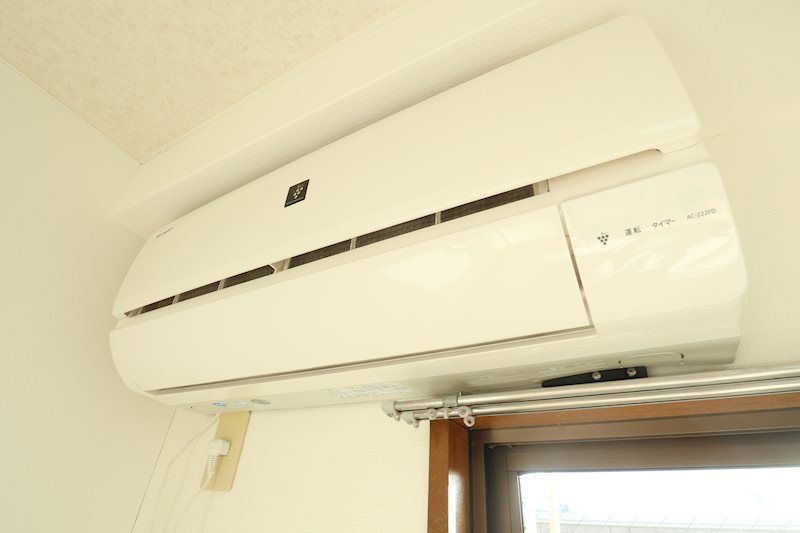 ハウゼイイダ  その他5