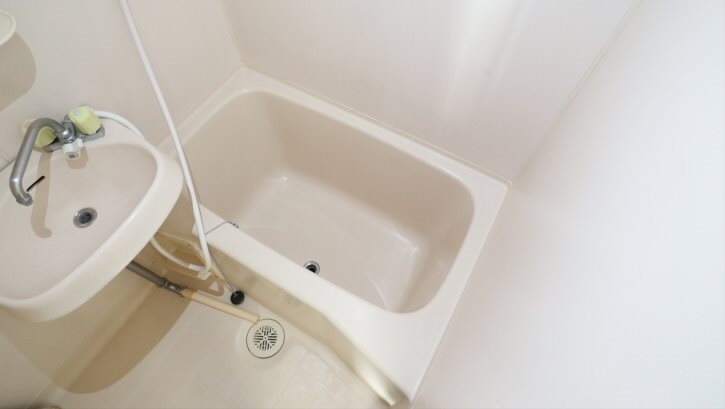 ハウゼイイダ  風呂画像