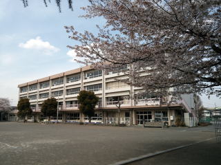 Mメゾン　北  周辺画像5