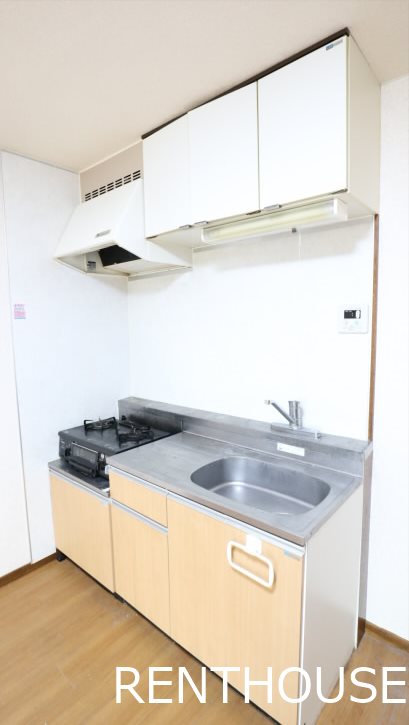 スプランドゥール国領   キッチン