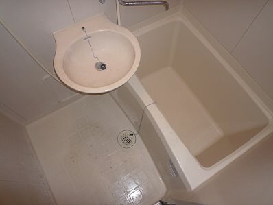 フレグランスマツバ  風呂画像