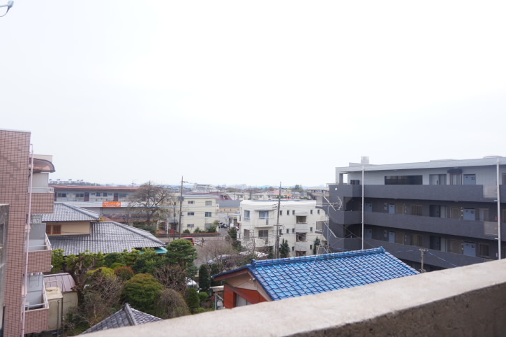 パティオアゼリー  その他4