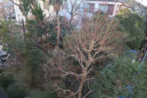 エステージ西調布  その他7