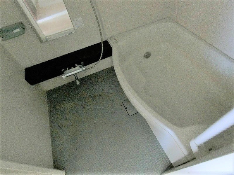 セイガステージ分倍河原Ⅱ  風呂画像