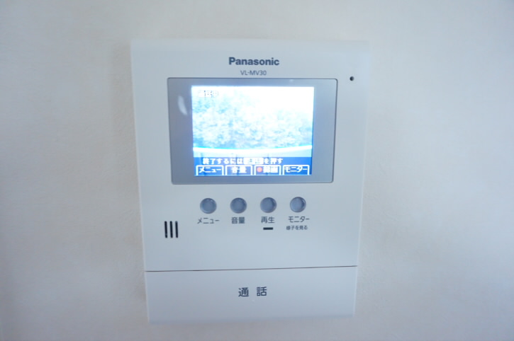 ハイムラグドール   その他1