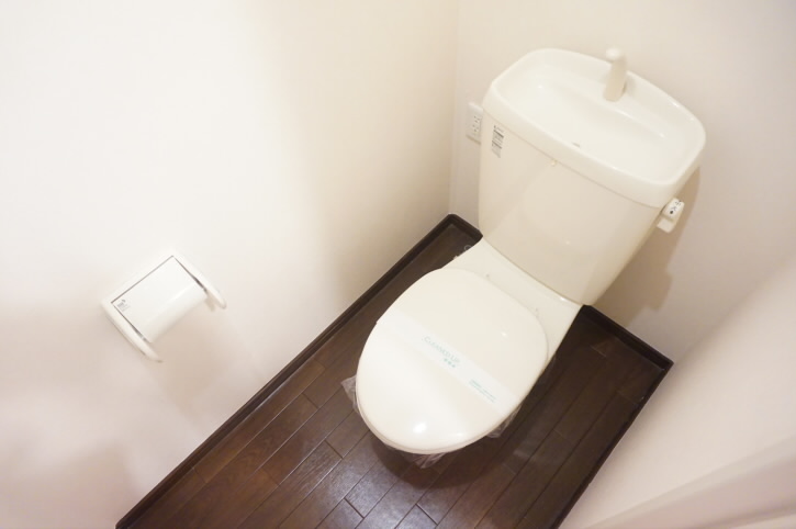 ハイムラグドール   その他2