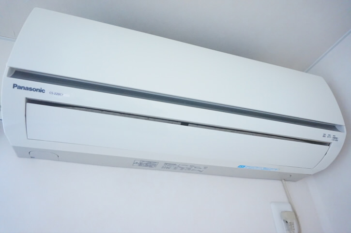 ハイムラグドール   その他5