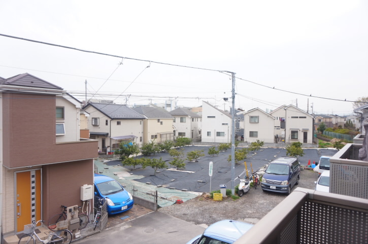 ハイムラグドール   その他6