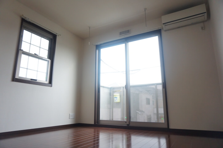 ハイムラグドール   リビング