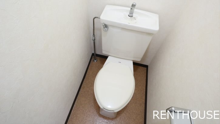 クリサンテーモ    その他2