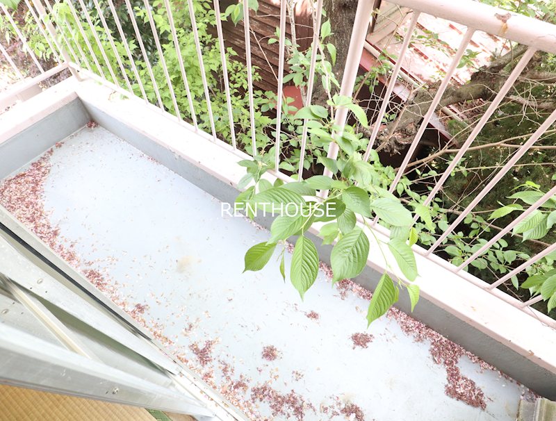 金龍堂ビル  ベランダ