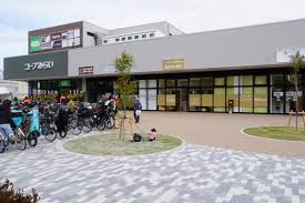 ライオンズマンション国領 周辺画像3