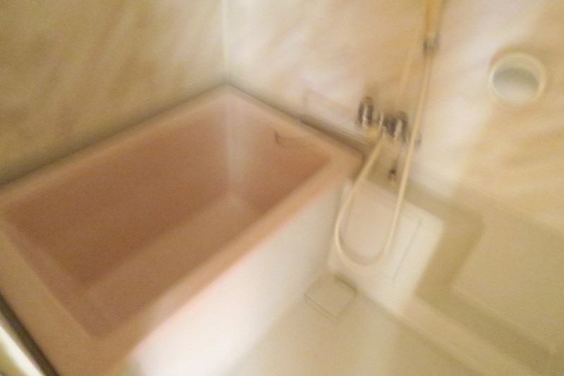 リバーサイドハイツリー その他11