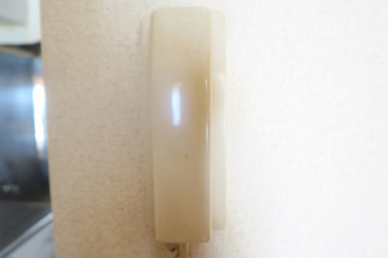 リバーサイドハイツリー その他14