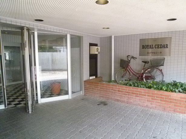 ロイヤルシーダ  その他1