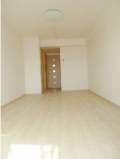 カンパニュラ     その他2